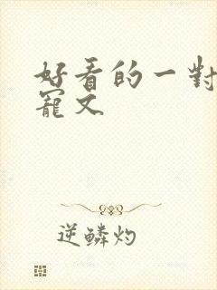 好看的一对一甜宠文