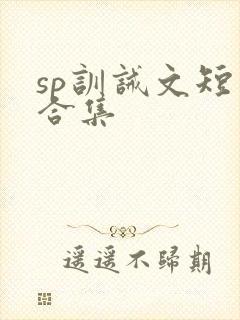 sp训诫文短篇合集