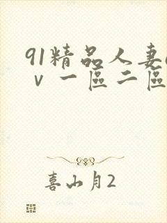 91精品人妻aⅴ一区二区