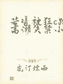 若曦被狂c躁到高潮失禁小说