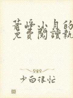 萧峥小月的小说免费阅读执掌风云