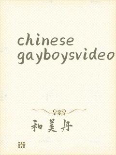 chinesegayboysvideo