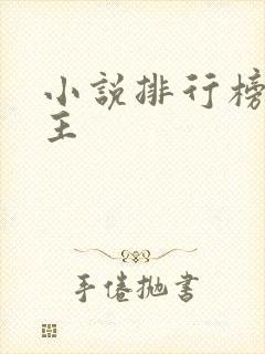 小说排行榜双男主