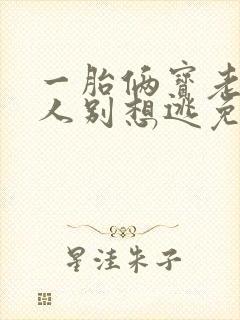 一胎俩宝老婆大人别想逃免费观看