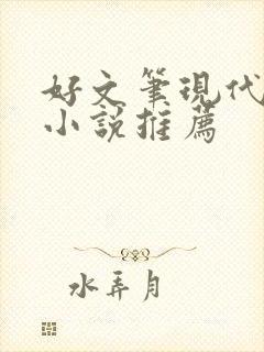 好文笔现代言情小说推荐封面