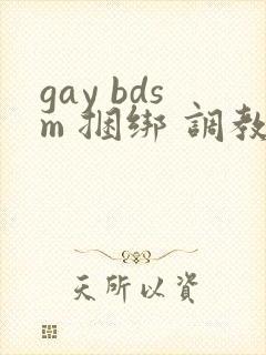 gay bdsm 捆绑 调教 男奴封面