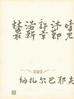 林浩许沐晴小说最新章节免费阅读全文封面