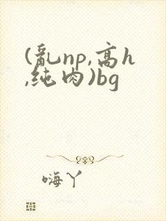 (乱np,高h,纯肉)bg