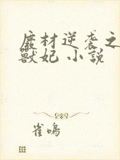 废材逆袭之惊世兽妃 小说封面