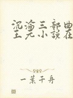 沉沦三部曲陈洁王元小说在线阅读