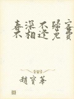 春深不归客清梦不相逢免费阅读大结局封面