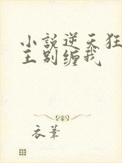 小说逆天狂妃邪王别缠我封面