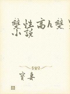 双性高h双男主小说