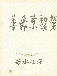叶辰萧初然最新章节小说免费阅读封面
