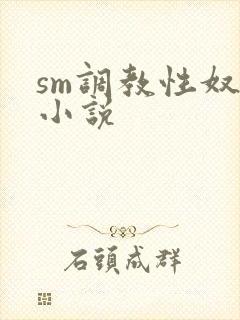 sm调教性奴隶小说