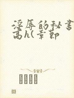 淫辱的秘书调教高h(章节