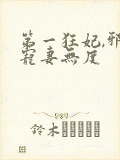 第一狂妃,邪王宠妻无度
