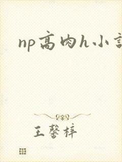 np高肉h小说封面