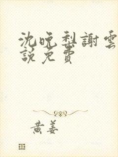 沈晚梨谢云迟小说免费
