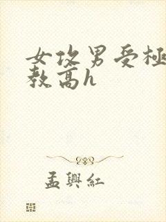 女攻男受极限调教高h