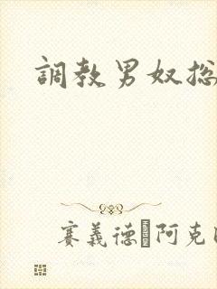 调教男奴总裁受