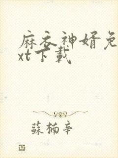 麻衣神婿免费txt下载