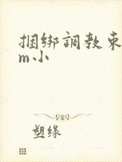 捆绑调教束缚sm小