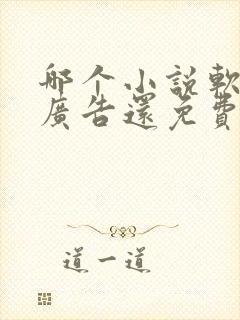 哪个小说软件没广告还免费