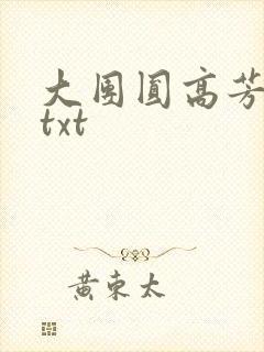 大团圆高芳小说txt