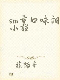 sm重口味调教小说封面
