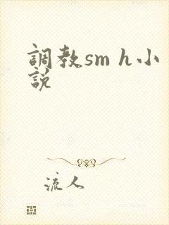 调教sm h小说