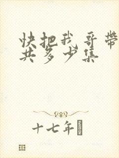 快把我哥带走一共多少集