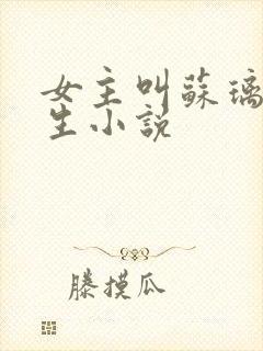 女主叫苏璃的重生小说封面