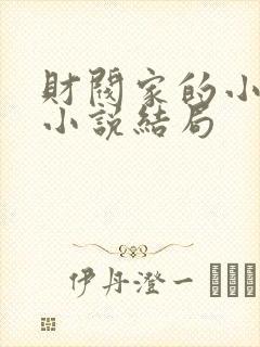 财阀家的小儿子小说结局