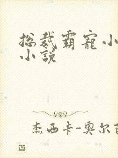 总裁霸宠小甜妻小说封面