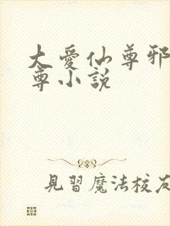 大爱仙尊邪银魔尊小说