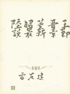 陆昭菱晋王的小说最新章节封面