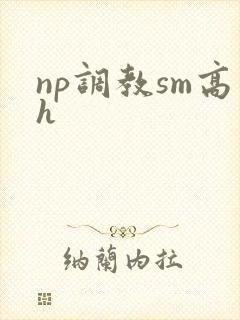 np调教sm高h封面