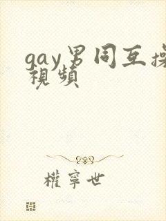 gay男同互操视频