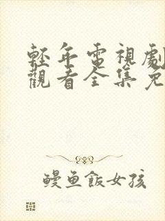 轻年电视剧在线观看全集免费播放