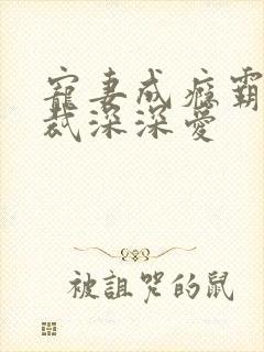 宠妻成瘾霸道总裁深深爱