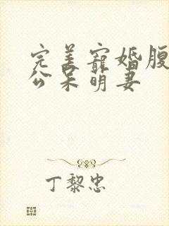 完美宠婚腹黑老公呆萌妻