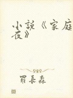 小说《家庭欢乐夜》
