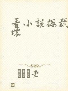 看小说总裁别太坏