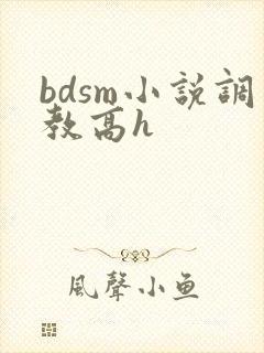 bdsm小说调教高h