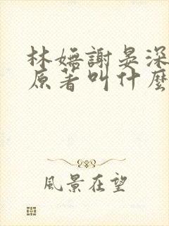 林妩谢晏深小说原著叫什么名字