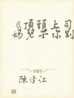 《顶头上司变后妈儿子你别懵》