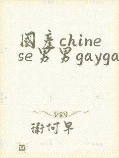 国产chinese男男gaygay 网站封面