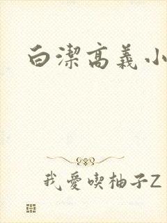 白洁高义小说