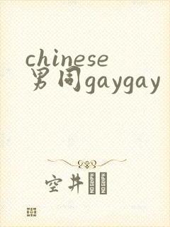 chinese男同gaygay封面